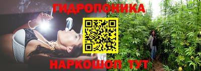 спайс Кулебаки